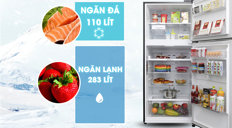 Tủ lạnh LG Inverter 393 lít GN-L422GB - Dung tích 393 lít