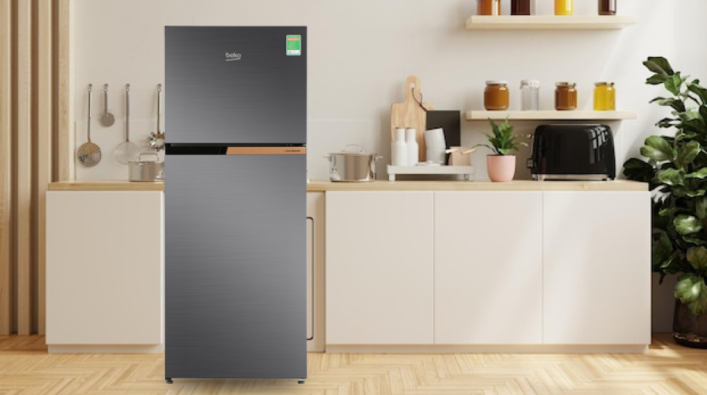 Tủ lạnh Beko Inverter 189 lít RDNT201I50VK - Tổng quan thiết kế