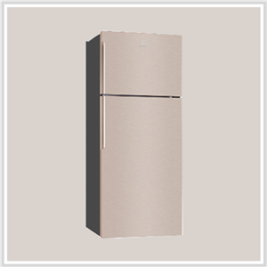 Tủ Lạnh Model 2019 Electrolux ETE5720B -G