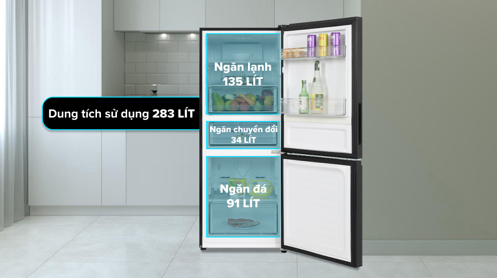 Tủ lạnh Aqua Inverter 260 lít AQR-B310MA(FB) - Dung tích