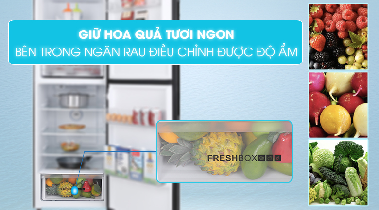 Tủ lạnh Aqua Inverter 312 lít AQR-T359MA(GB)-Giữ rau quả tươi ngon với ngăn rau điều chỉnh được độ ẩm