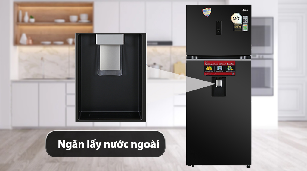 Tủ lạnh LG Inverter 394 lít GN-D392BLA - Khay lấy nước ngoài