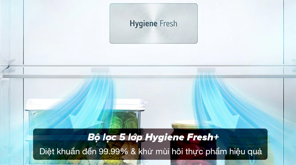 Tủ lạnh LG Inverter 395 lít GN-B392BG - Bộ lọc 5 lớp Hygiene Fresh+ diệt khuẩn và khử mùi thực phẩm giúp bảo quản thực phẩm lâu hơn