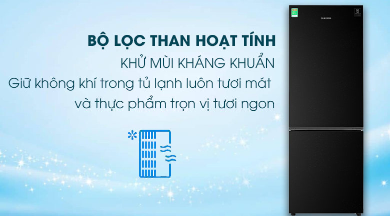 Tủ lạnh Samsung Inverter 310 lít RB30N4010BU/SV - Bộ lọc