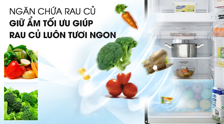 Tủ lạnh Toshiba Inverter 180 lít GR-B22VU UKG - Ngăn chứa rau lớn
