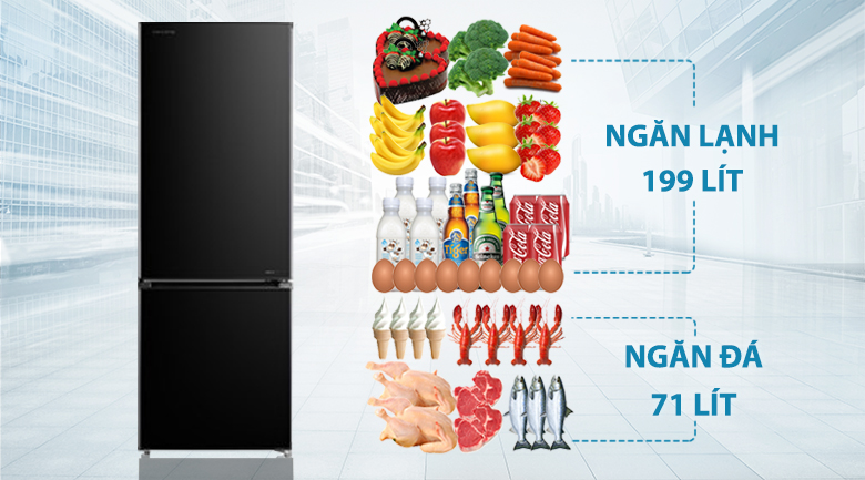 Tủ lạnh Toshiba Inverter 270 lít GR-RB350WE-PMV(30)-BS-Dung tích 270 lít, phù hợp gia đình nhỏ từ 2 - 3 người