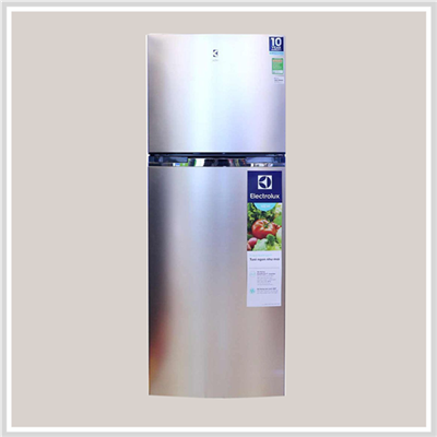 Tủ Lạnh Electrolux ETB3200GG