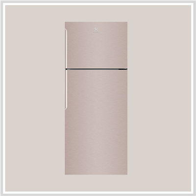 Tủ Lạnh Model 2019 Electrolux ETB4600B-G