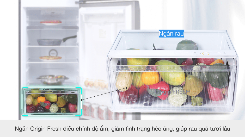 Tủ lạnh Toshiba Inverter 311 lít GR-RT395WE-PMV(06)-MG - Ngăn Origin Fresh