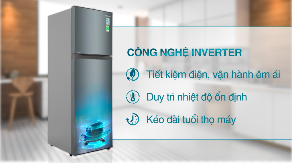Tủ lạnh Casper Inverter 258 lít RT-270VD - hình 3