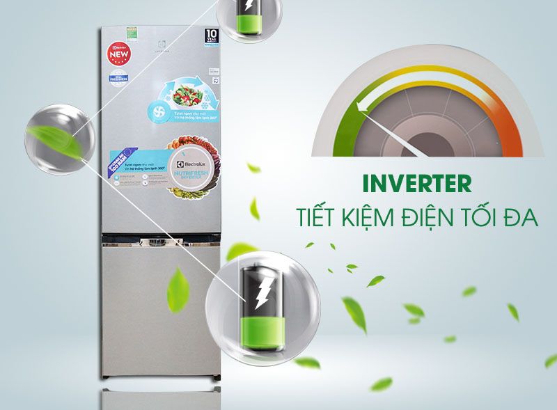 Tủ Lạnh Electrolux EBB2600MG - hình 4