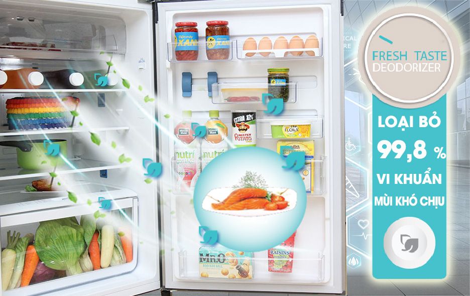 Tủ Lạnh Electrolux EME3500GG - hình 5