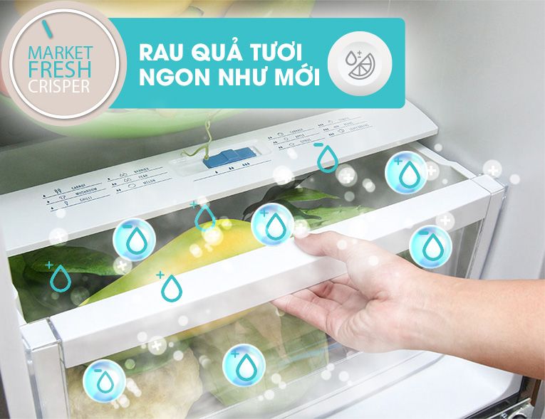 Tủ Lạnh Electrolux EME3500MG - hình 4