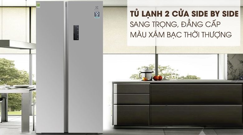 Tủ Lạnh Electrolux ESE5301AG-VN - hình 2