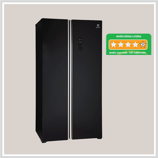 Tủ Lạnh Electrolux ESE6201BG-VN - hình 1