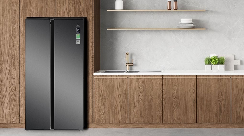Tủ lạnh Electrolux ESE6600A-AVN - 624 lít - hình 1