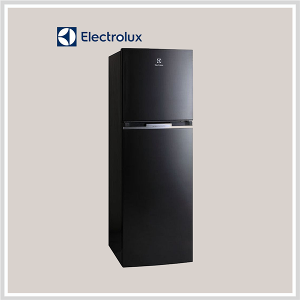 Tủ Lạnh Electrolux ETB2600BG - hình 1