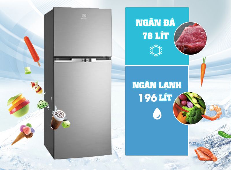 Tủ Lạnh Electrolux ETB2600MG - hình 2