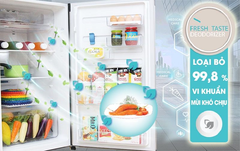 Tủ Lạnh Electrolux ETB2600MG - hình 4