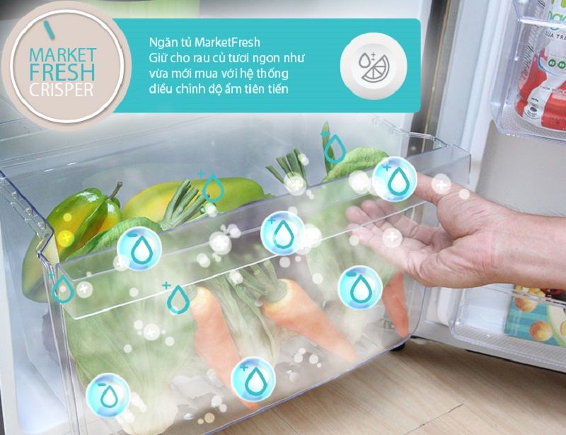 Tủ Lạnh Electrolux ETB2600MG - hình 5