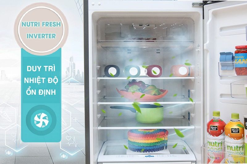 Tủ Lạnh Electrolux ETB3200GG - hình 3