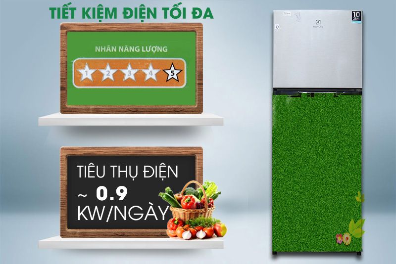 Tủ Lạnh Electrolux ETB3200GG - hình 4