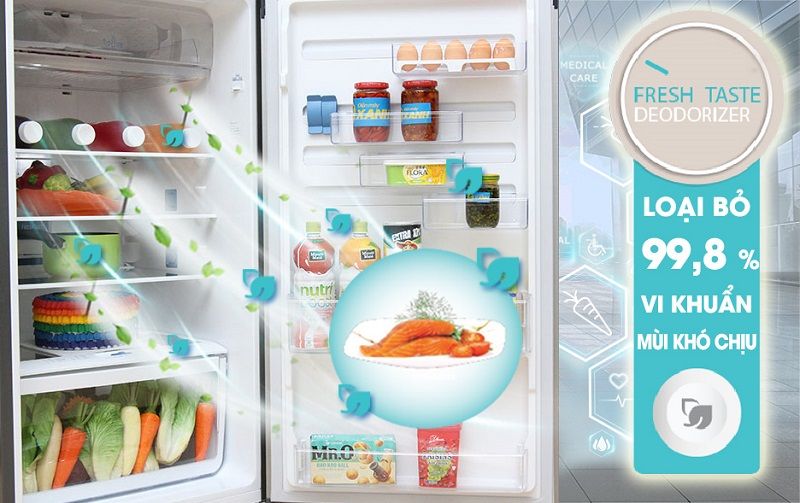Tủ Lạnh Electrolux ETB3200GG - hình 5