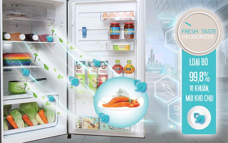 Tủ Lạnh Electrolux ETB3202MG - hình 4