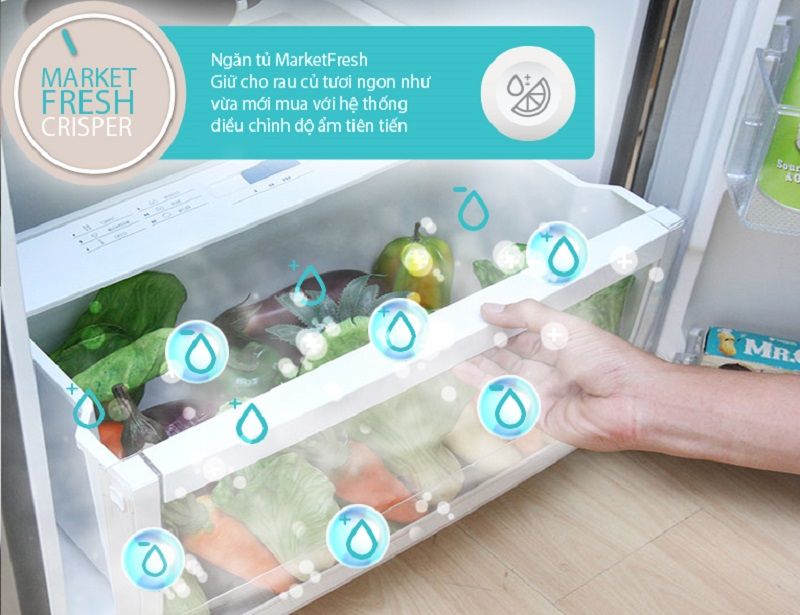 Tủ Lạnh Electrolux ETB3202MG - hình 5