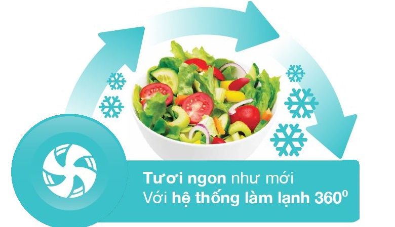 Tủ Lạnh Electrolux ETB3500MG - hình 5