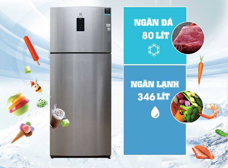 Tủ Lạnh Electrolux ETB4602AA - hình 2