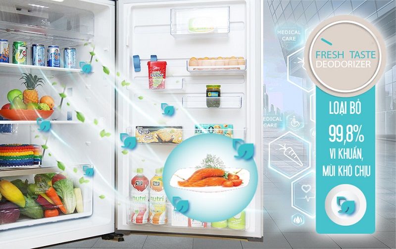 Tủ Lạnh Electrolux ETB4602AA - hình 4