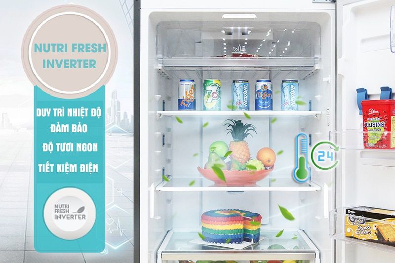 Tủ Lạnh Electrolux ETB4602AA - hình 5