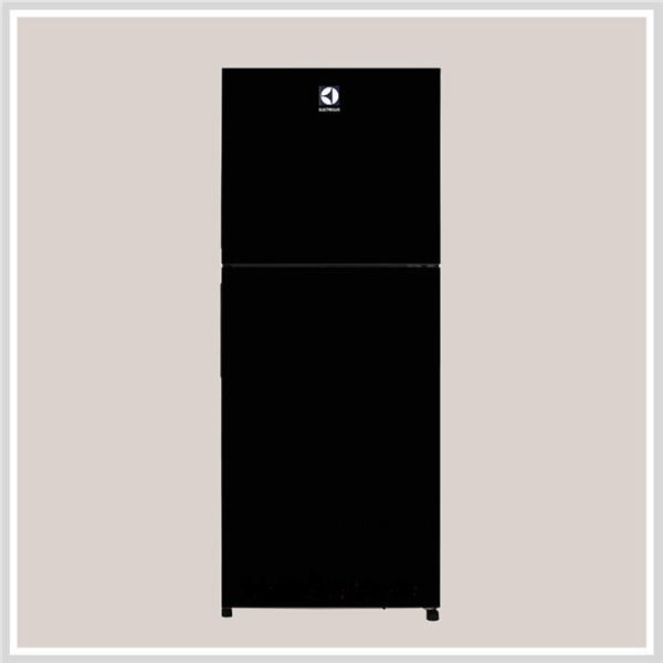 Tủ Lạnh Electrolux ETB4602BA - hình 1