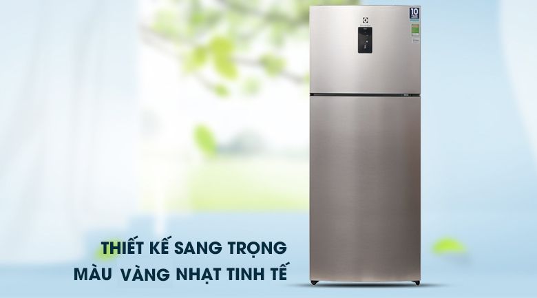 Tủ Lạnh Electrolux ETB4602GA - hình 2