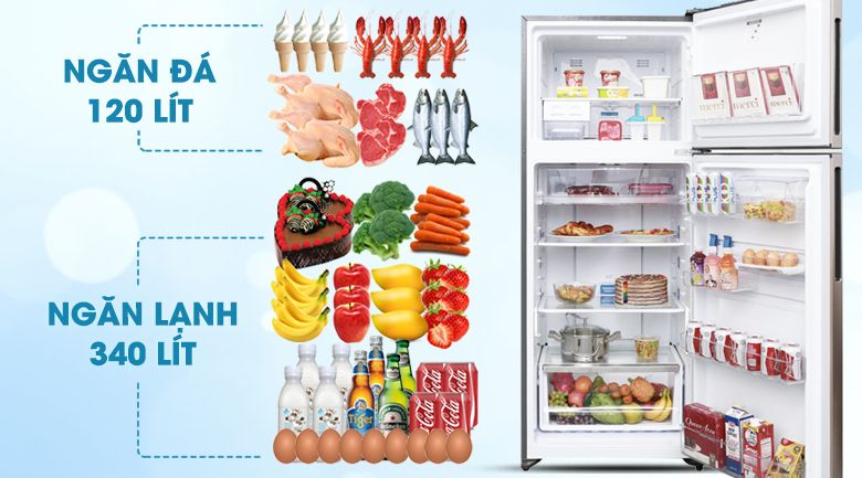 Tủ Lạnh Electrolux ETB4602GA - hình 3