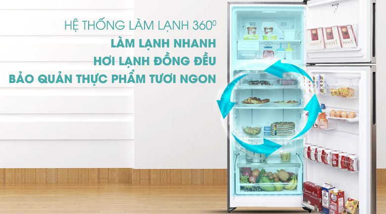 Tủ Lạnh Electrolux ETB4602GA - hình 5