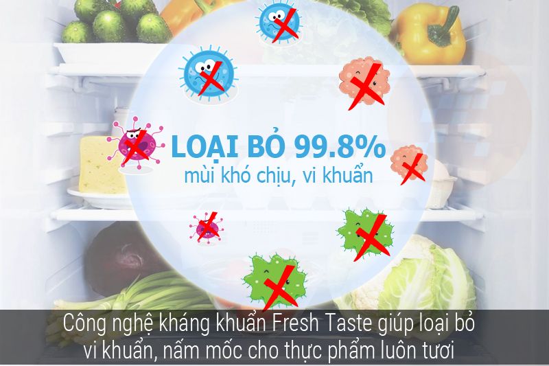 Tủ Lạnh Electrolux ETB5702AA - hình 3