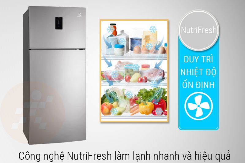 Tủ Lạnh Electrolux ETB5702AA - hình 4