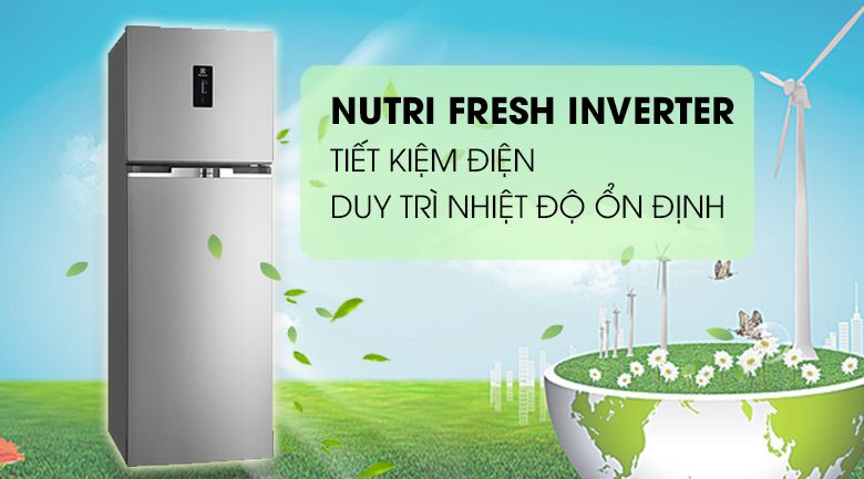 Tủ Lạnh Electrolux ETE3500AG - hình 3