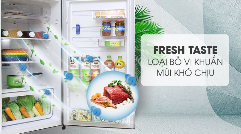 Tủ Lạnh Electrolux ETE3500AG - hình 4
