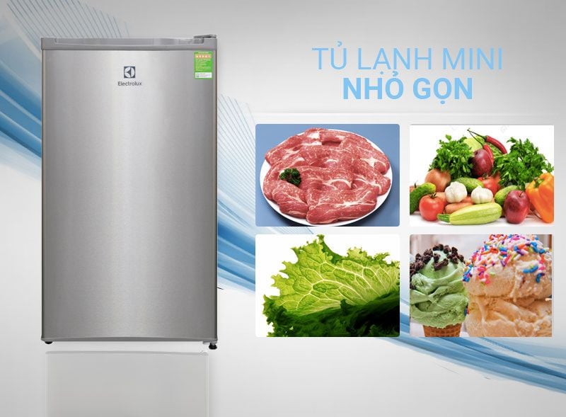Tủ Lạnh Electrolux EUM0900SA - hình 2