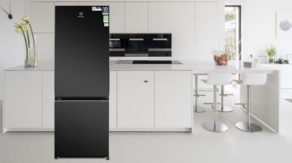 Tủ lạnh Electrolux Inverter 308 Lít EBB3402K-H - hình 1