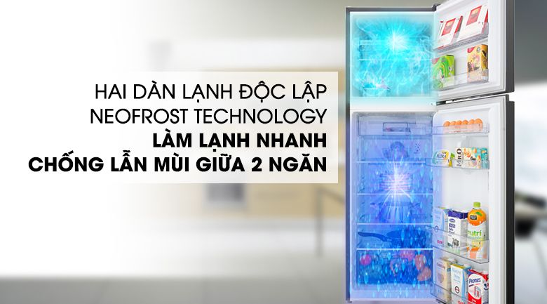 Tủ lạnh Inverter 250 lít Beko RDNT271I50VWB - hình 4