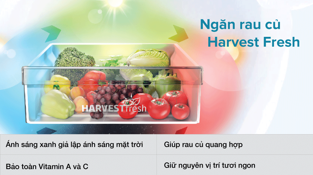 Tủ lạnh Inverter 323 lít Beko RCNT340I50VZK - hình 4