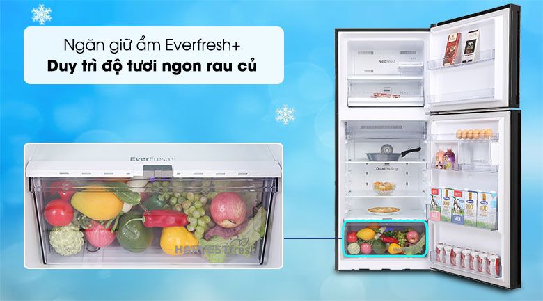 Tủ lạnh Inverter 340 lít Beko RDNT371E50VZGB - hình 2