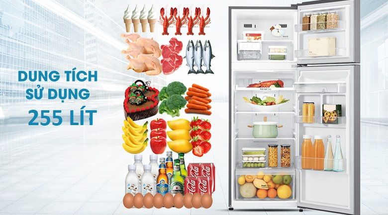 Tủ lạnh LG Inverter 255 lít GN-D255BL - hình 3