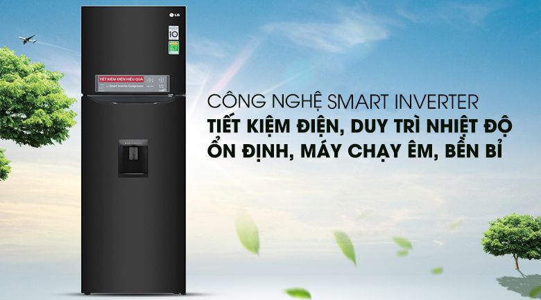 Tủ lạnh LG Inverter 255 lít GN-D255BL - hình 4