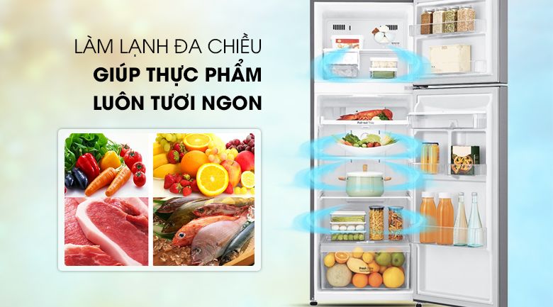 Tủ lạnh LG Inverter 255 lít GN-D255BL - hình 5