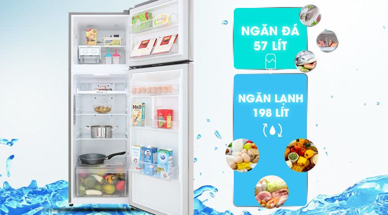 Tủ lạnh LG Inverter 255 lít GN-M255PS - hình 2
